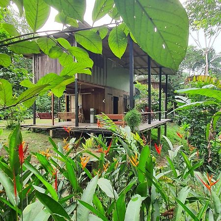 Amazona Lodge Leticia Zewnętrze zdjęcie