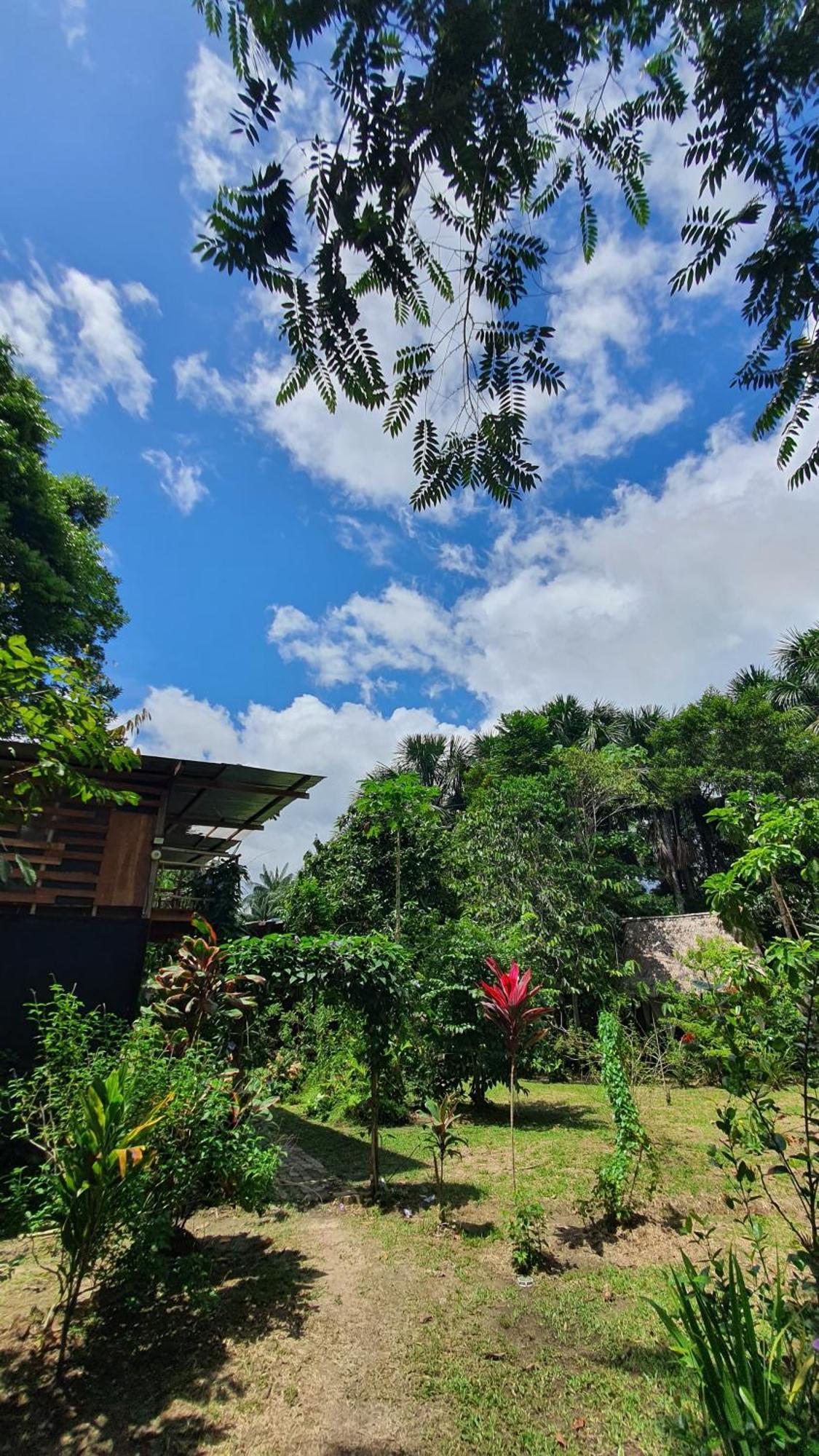 Amazona Lodge Leticia Zewnętrze zdjęcie