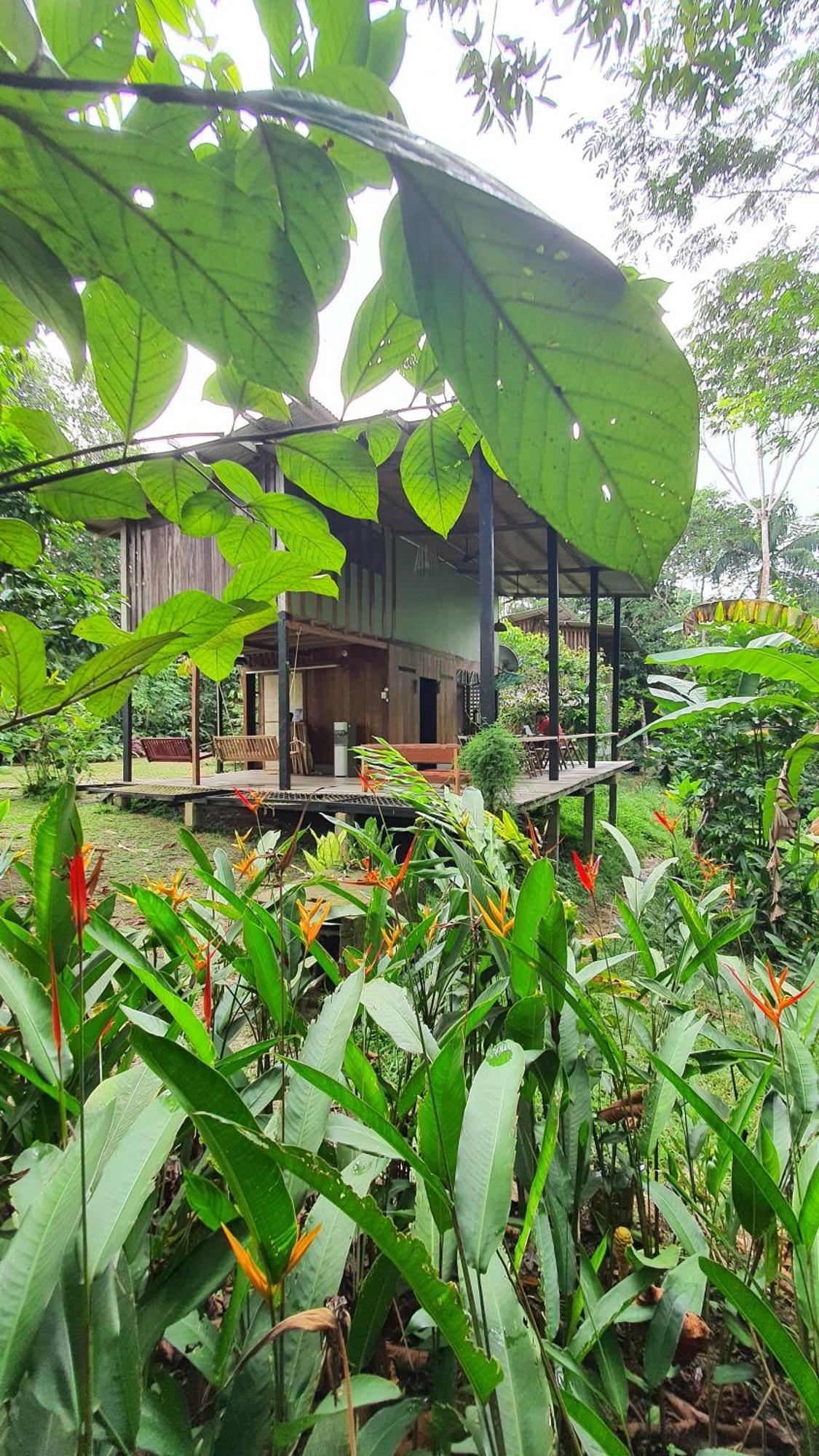 Amazona Lodge Leticia Zewnętrze zdjęcie