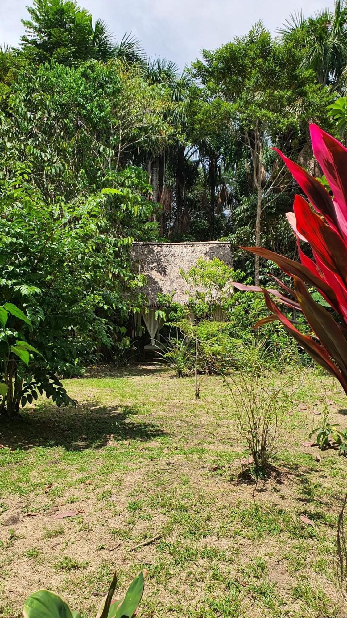 Amazona Lodge Leticia Zewnętrze zdjęcie