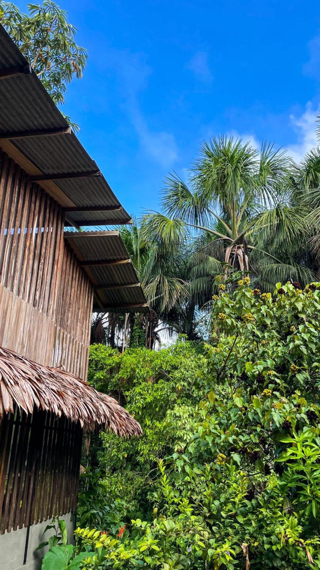 Amazona Lodge Leticia Zewnętrze zdjęcie