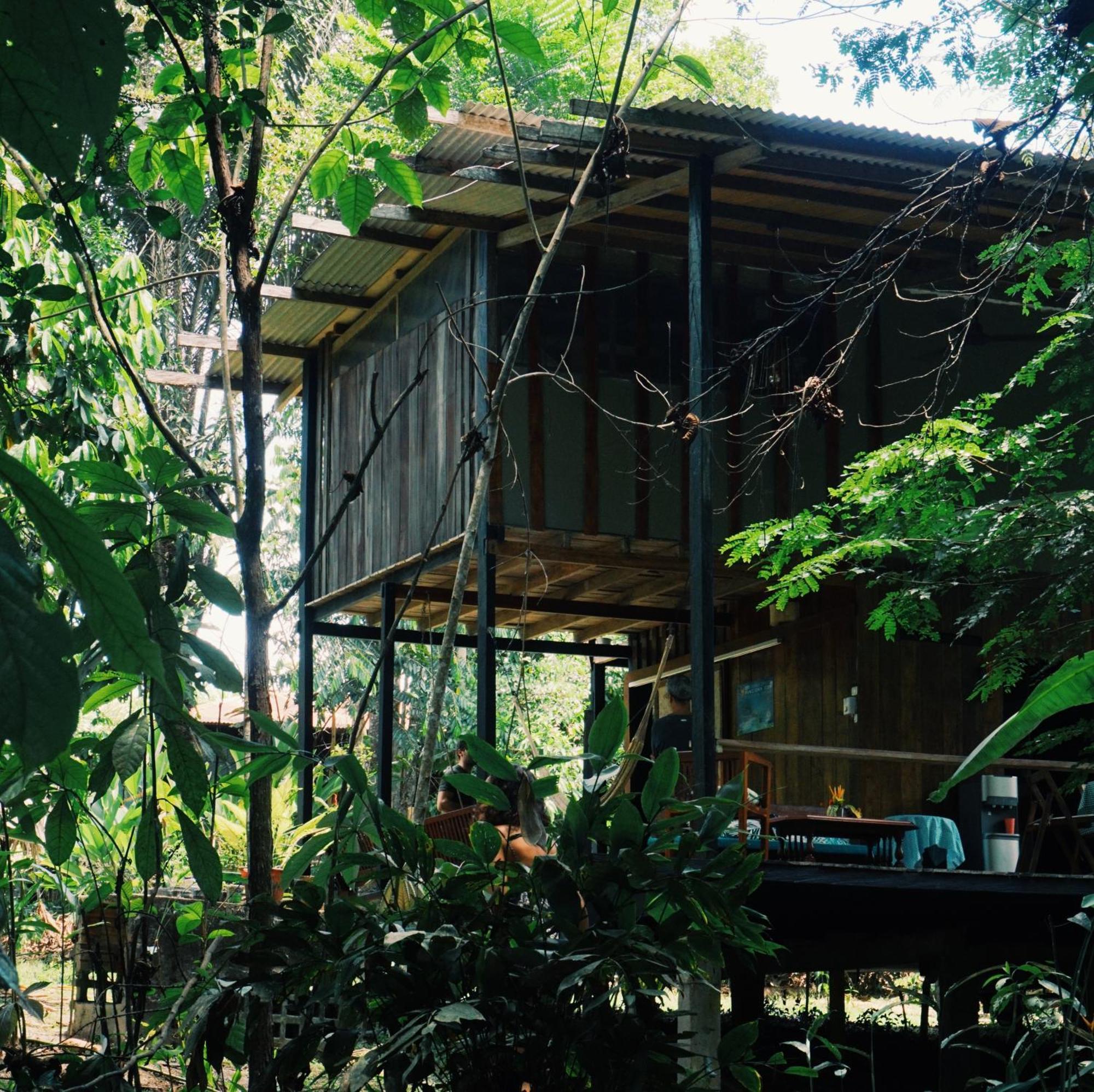 Amazona Lodge Leticia Zewnętrze zdjęcie